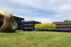 19-05-25-12-11-19-4416